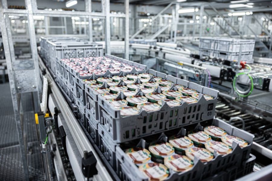 Precision in Motion: Automated Picking System Optimizing Food Distribution for Peak Grocery Demand